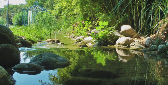 Creek Creek