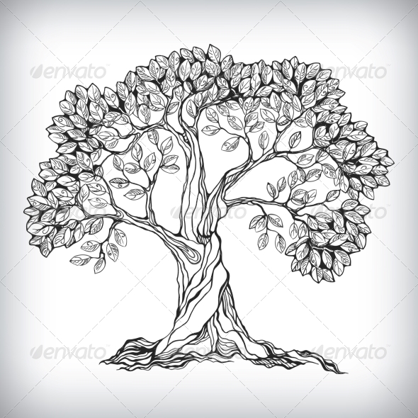 Hand Drawn Tree Symbol  GraphicRiver