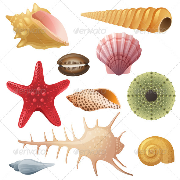 Seashells Icons Seashells Icons