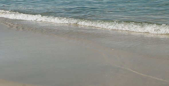Wave Wave