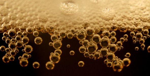 Beer Bubbles Beer Bubbles