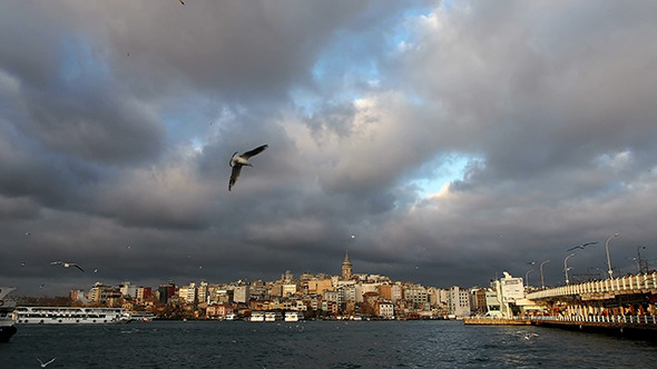 Pera and Galata Bridge with Boats and Seagulls Pera and Galata Bridge with Boats and Seagulls