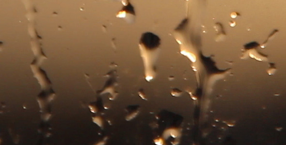 Condensation Raindrops Condensation Raindrops
