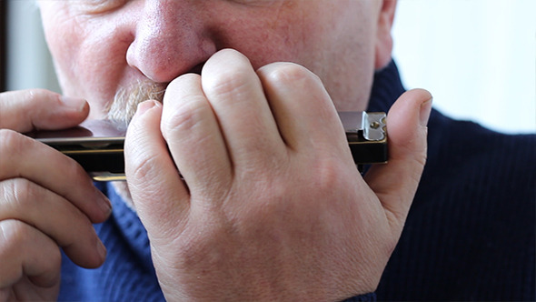 Man Playing the Harmonica Man Playing the Harmonica