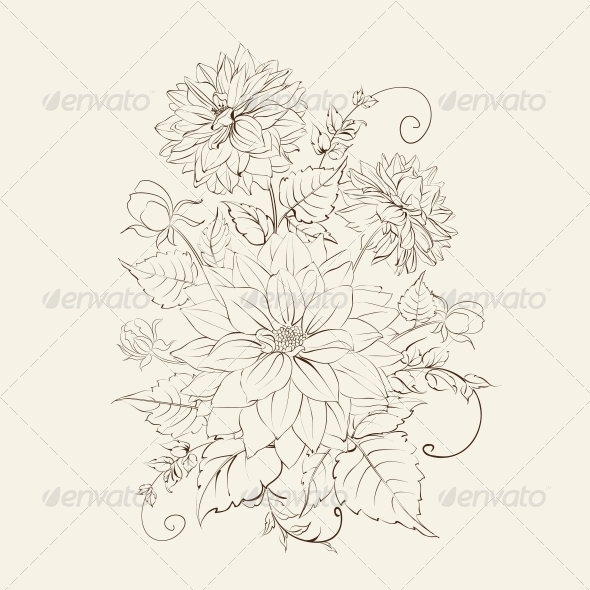 Chrysanthemum Isolated Design Chrysanthemum Isolated Design