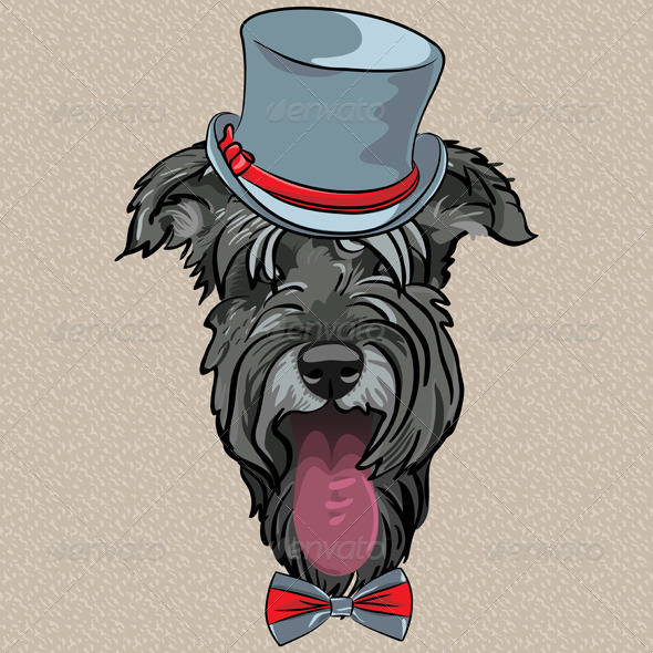 Hipster Dog Schnauzer Hipster Dog Schnauzer