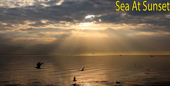 Sea At Sunset Sea At Sunset