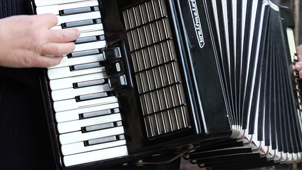 Man Playing Accordion Man Playing Accordion