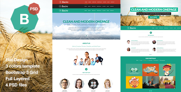 Baciro - Creative One Page PSD Template