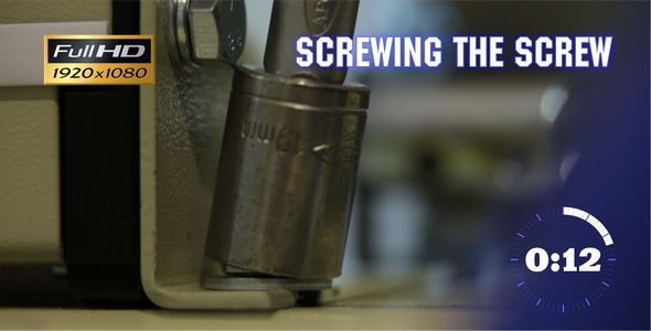 Screwing the Screw 2 Screwing the Screw 2