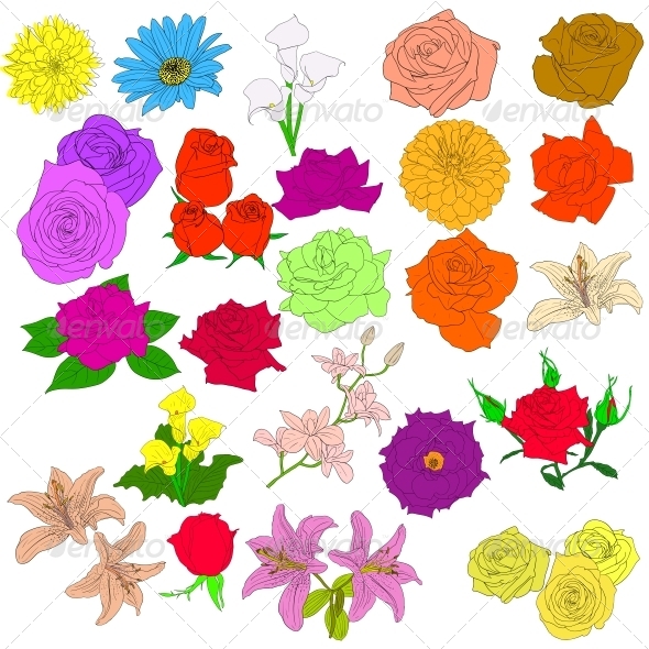Set of Flowers Set of Flowers
