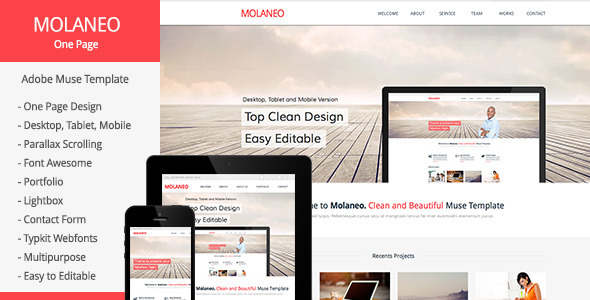 Molaneo - One Page Parallax Muse Template