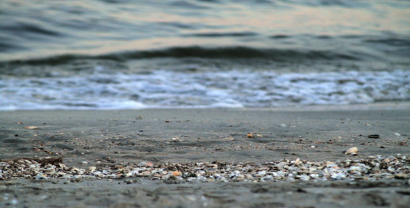 Seaside Waves Seaside Waves