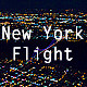 New York Flight