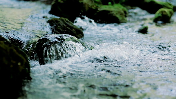 Stone in River Stone in River