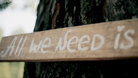All We Need is Love All We Need is Love