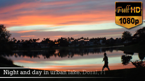 Night and day in urban lake Doral Fl Night and day in urban lake Doral Fl