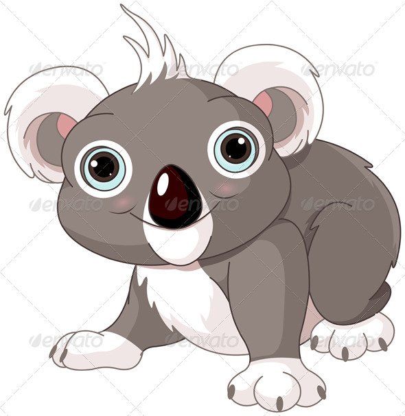 Koala Koala