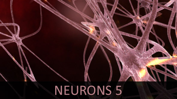 Neurons 5 Neurons 5