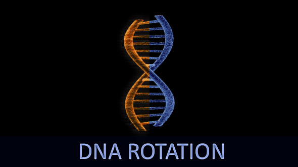 DNA Rotation 6-Pack DNA Rotation 6-Pack