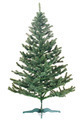 Photo of undecorated tree | Free christmas images