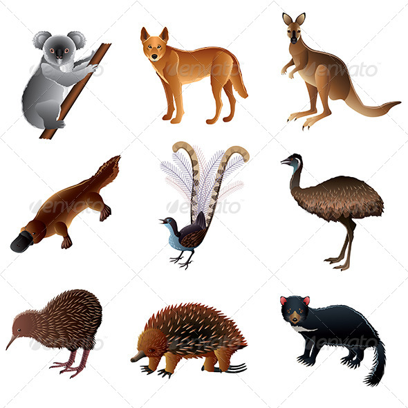 Australian Animals Set | GraphicRiver