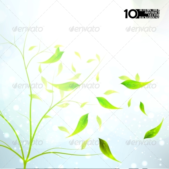 Autumn Background Autumn Background