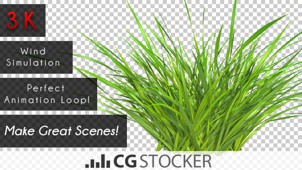 Wind Simulated Grass Wind Simulated Grass