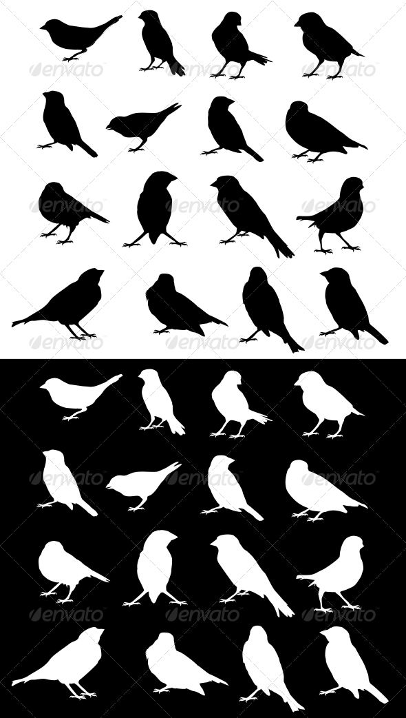 Sparrow Silhouettes Set Sparrow Silhouettes Set
