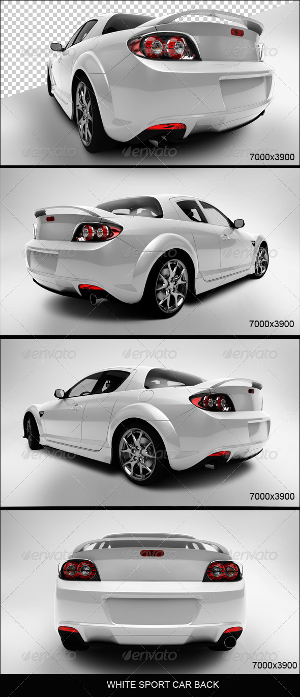 White Sport Car Back White Sport Car Back