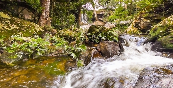Waterfall in Tropical Forest Waterfall in Tropical Forest