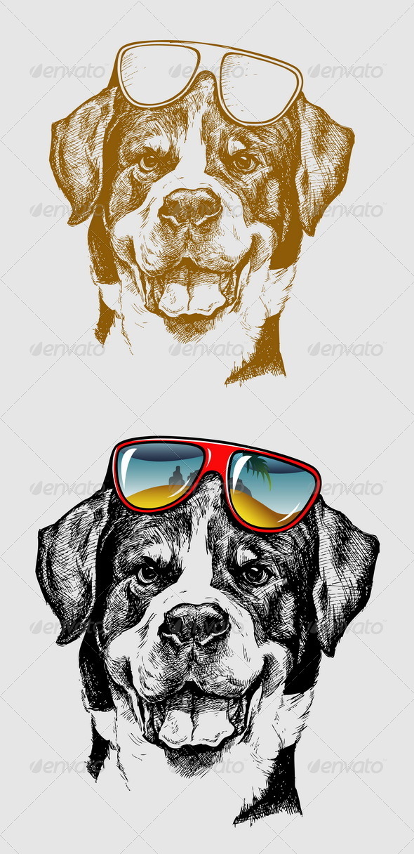 Cool Dog Illustration - Animals Characters