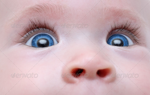 baby blue eyes