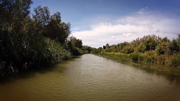 Forest River Forest River