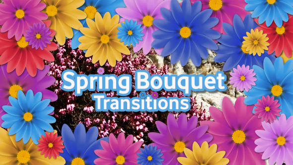 Spring Bouquet Transitions Spring Bouquet Transitions