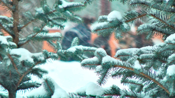 Christmas Tree in Snow 2 items Christmas Tree in Snow 2 items