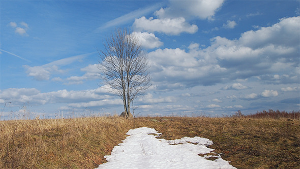 The Last Snow The Last Snow