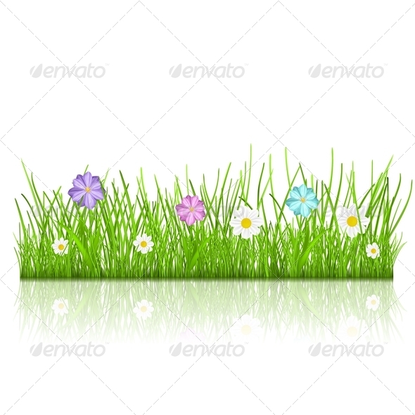 Grass with Flowers Grass with Flowers