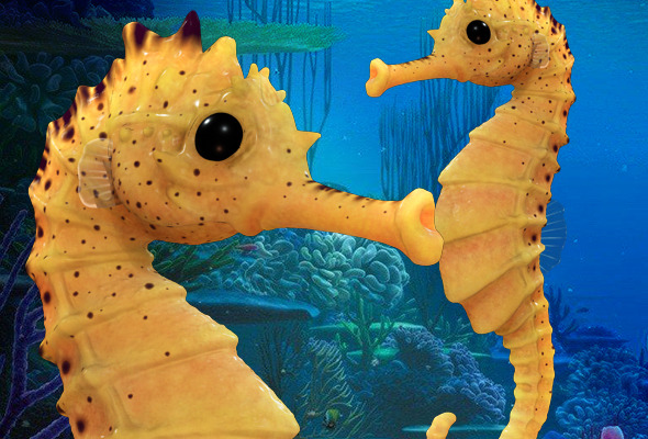 Seahorse - 3DOcean Item for Sale