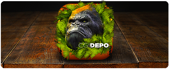 CGIDEPO