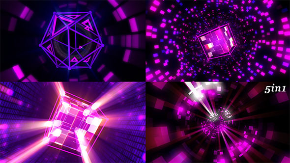 Light Disco Fly Light Disco Fly