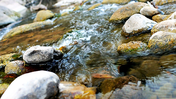 Stream Flowing Water 10 Stream Flowing Water 10