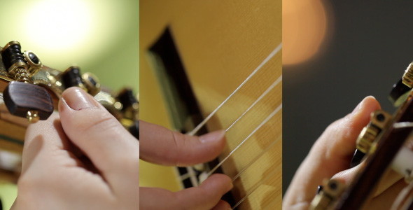 Guitar Guitar