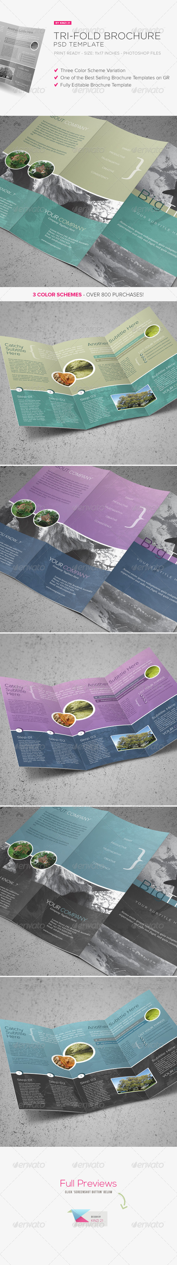Tri-fold Brochure PSD Template Tri-fold Brochure PSD Template
