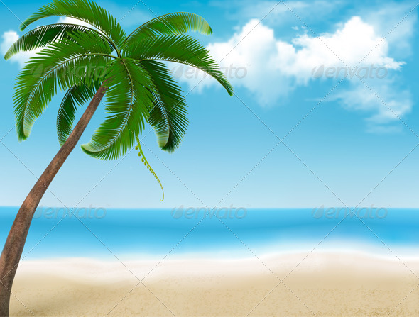 Background with Palm Tree and Blue Sky Background with Palm Tree and Blue Sky