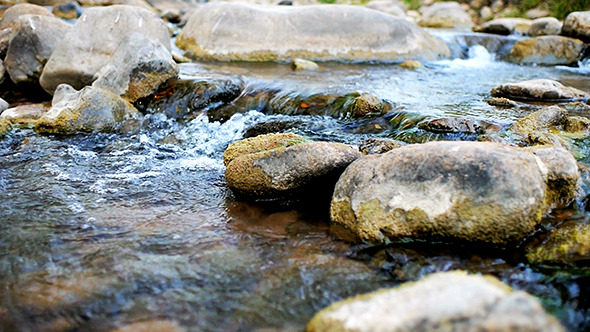 Stream Flowing Water 1 Stream Flowing Water 1