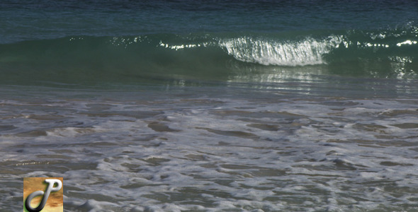 Waves In Tulum Waves In Tulum