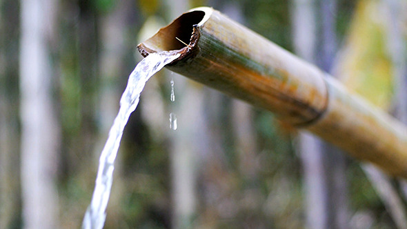 Bamboo Water Feature 01 Bamboo Water Feature 01