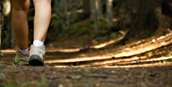 Girl Footsteps In Forest Girl Footsteps In Forest
