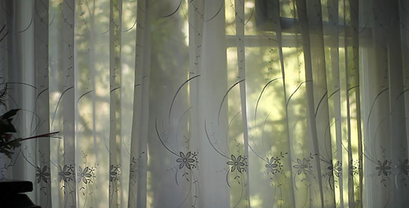 Window Curtains Window Curtains